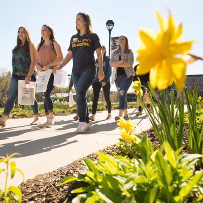 A group of people walking at the campus mall in sunny weather